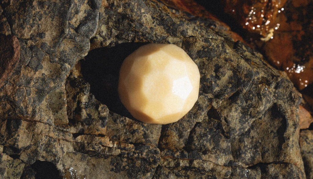 Balsambar som ligger på klippe ved vandet