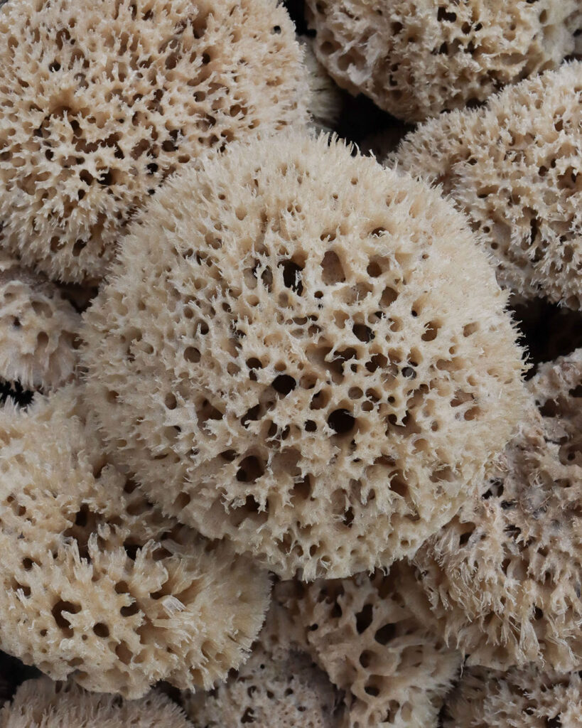 Honeycomb natursvampe
