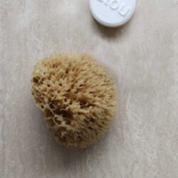 honeycomb natursvamp ubleget